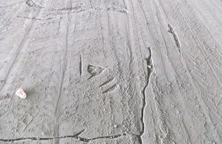 水泥地面防潮方法 雨天再也不怕潮濕，兼談建筑砌塊銷售的選擇